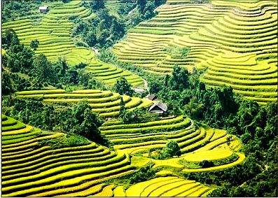 Việt Nam được bình chọn là một trong những điểm đến hấp dẫn nhất 2014